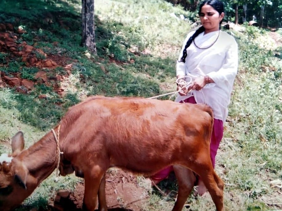आश्रम परिसरात वासरासोबत महिला