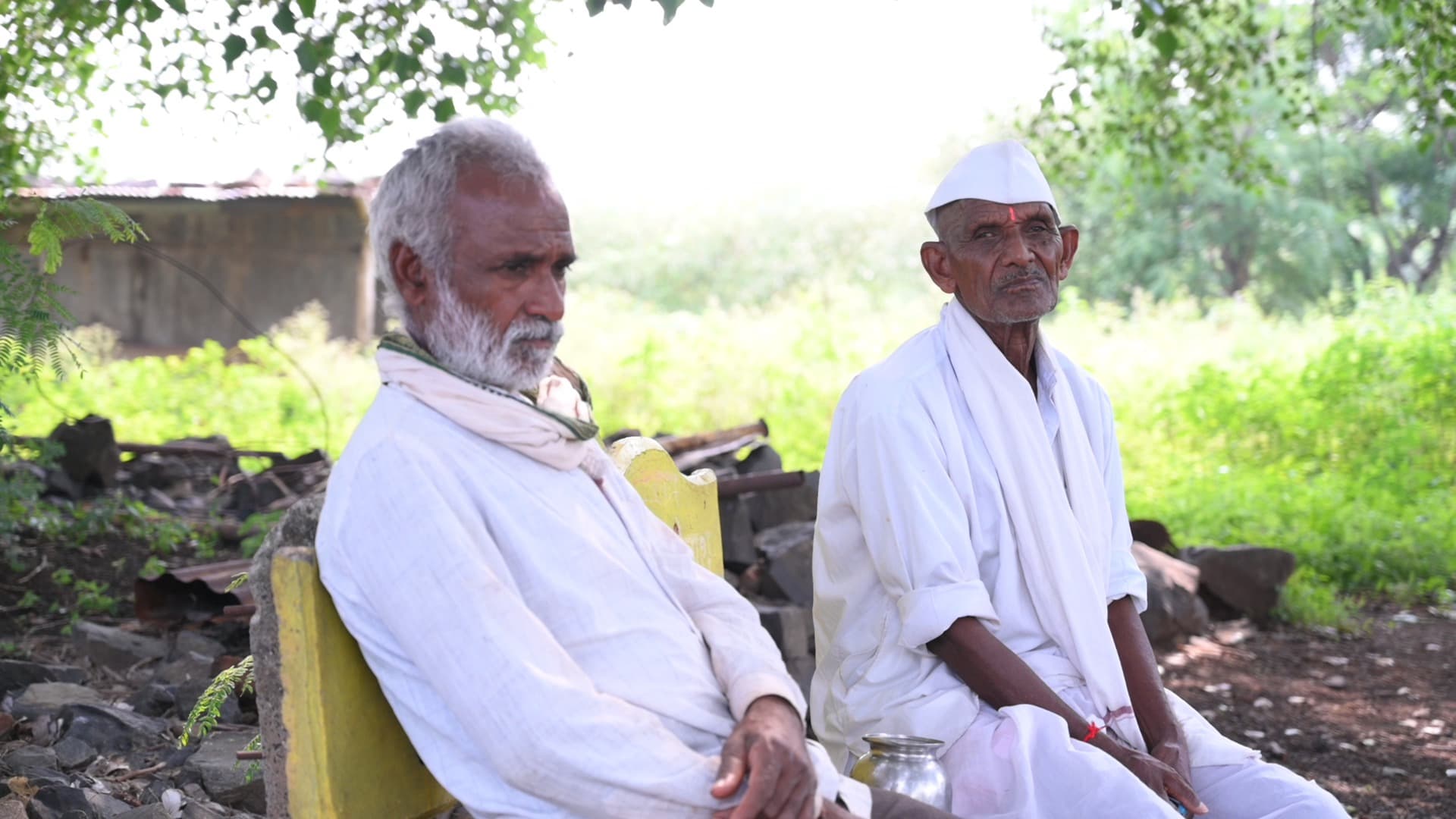 झाडाखाली बाकावर बसलेले दोन ज्येष्ठ
